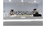 VaPourWave Hangout