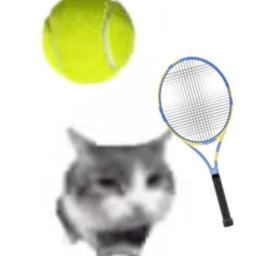 Tennis Cat Shrine