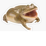 __The Frog Squad__