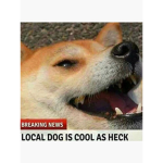 Heck Gang