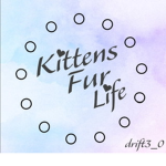 Kittens Fur Life