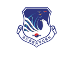 (Air Force Aviation Command)