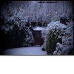 美丽与在