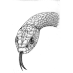 |SH|Serpent’s Eye