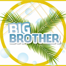 Big Brother