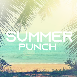 Summer Punch 2019 [OPEN] icon