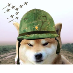Doges unites army