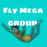 Fly mega