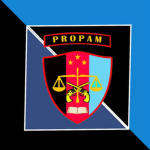 [IPS] Profesi Pengamanan