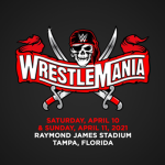 WWE Fighting group