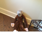 The cute monkey
