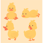 quack ducks!