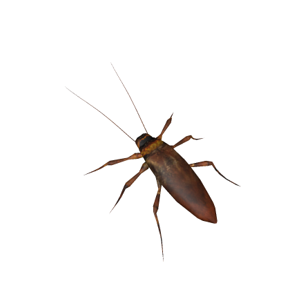 FNaF Help Wanted Roach (Animations)
