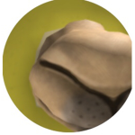 ekip ROBLOX grubu