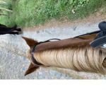 Horseback-ridersss