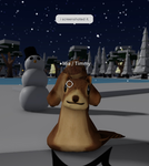 pengy’s store