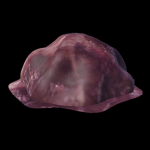 flesh lump studios
