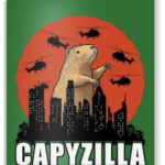Mr cappybara