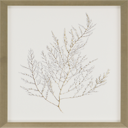 Square Two-Sided Decal