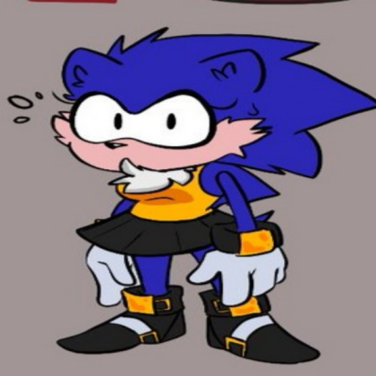 SONIC SONIC SONIC SONIC SONIC HOG NO NO Roblox decal