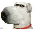 BrianTheLiberalDog's Freedom Fighters