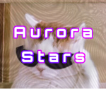 Aurora Stars
