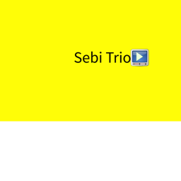 Sebi's bday