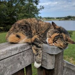 ♡