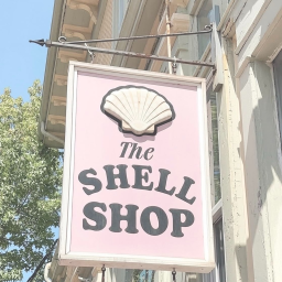 ˚🐚•