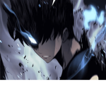 Solo leveling fans