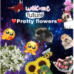 Pretty flowers :D