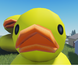 The duck game 1