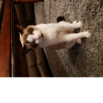 Hello_friends1234