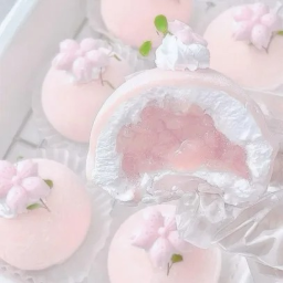 🐾 ｡ﾟ ๑ ˚⊹🎀꒱꒱