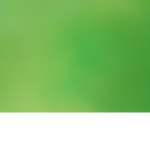 grupos dos green