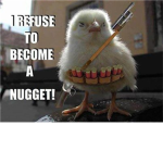 Noobbloxy's Not A Noob Group