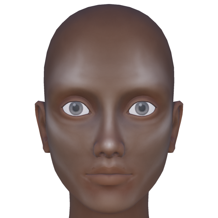 Shiny Highlighted Face