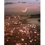 Love-