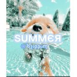 || sunny blossom ||