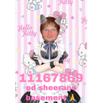 ed sheerans basement