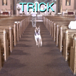 trick