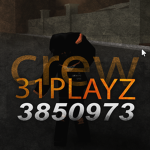 31playz