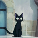 MISU CATS & KITTENS