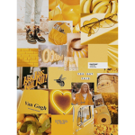 Sunflower Aestheticc