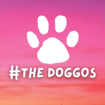 #THE DOGGOS