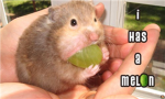 Melons