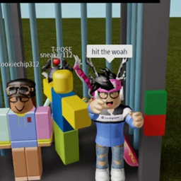 hit the woah  icon