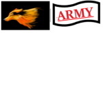 FIRE WOLF ARMY