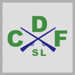 Civil Defense Forces