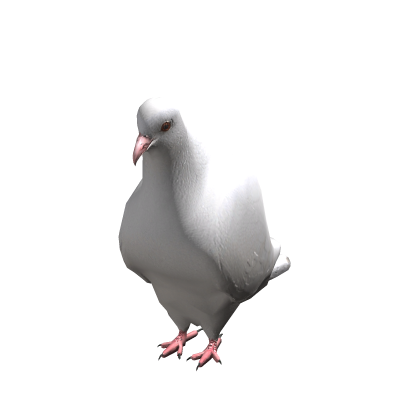 White Dove Suit